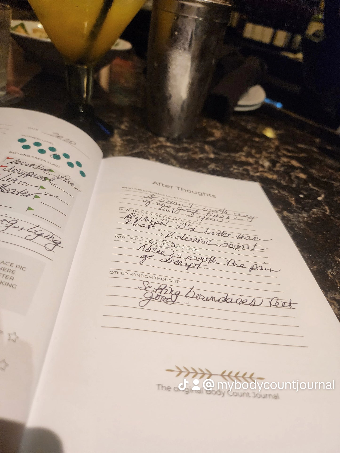 My Body Count Relationship Journal for Personal Growth